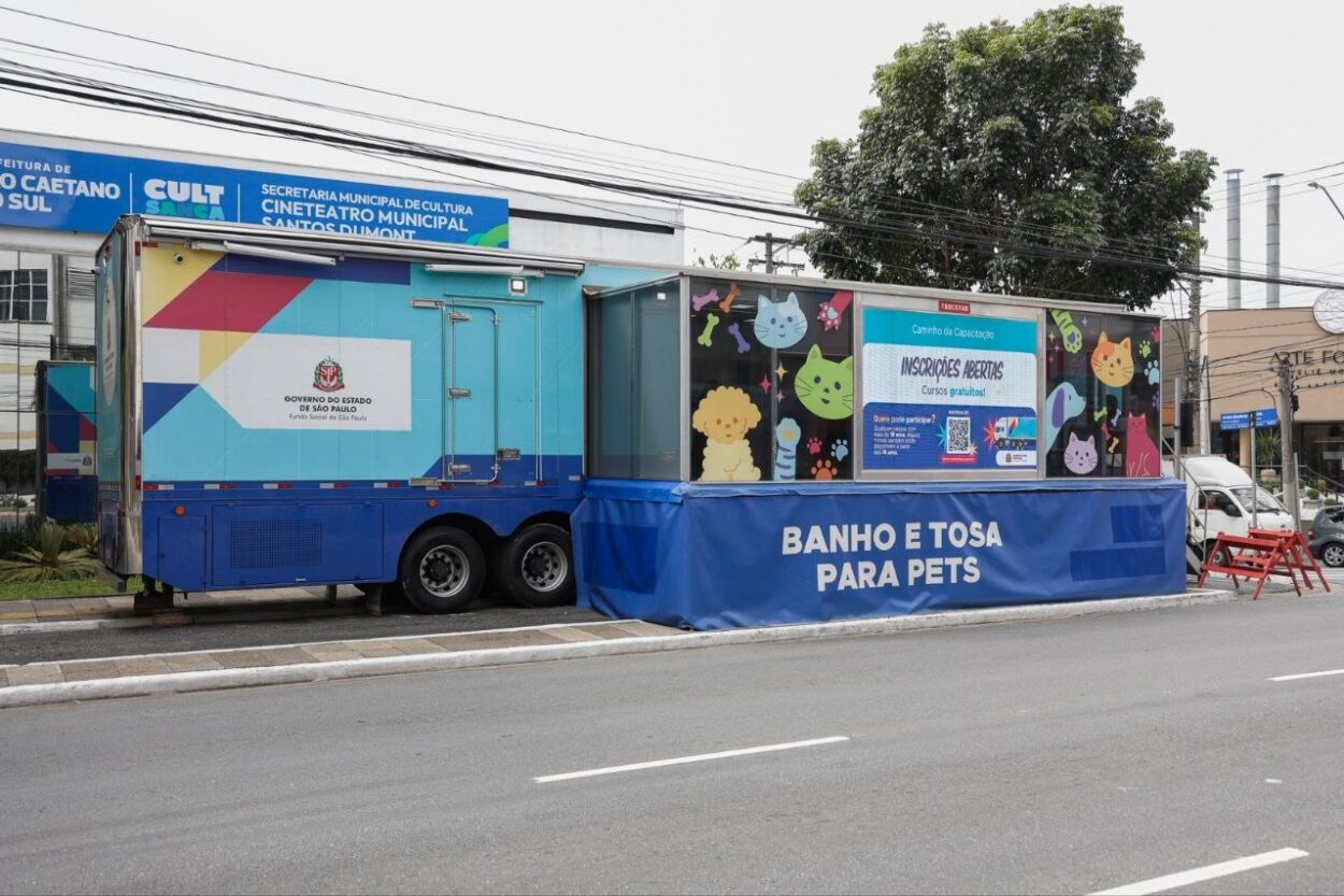 São Caetano oferece capacitação gratuita em banho e tosa para moradores