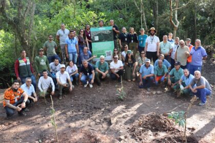 Santo André marca Dia da Árvore com recuperação de área degradada no Parque do Pedroso