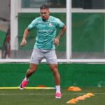 Palmeiras