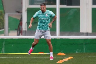 Palmeiras