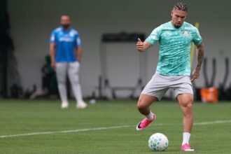 Palmeiras