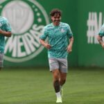Palmeiras