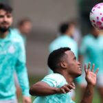 Palmeiras