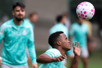 Palmeiras