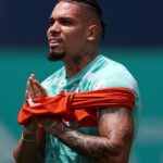 Palmeiras paulinho