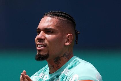 Palmeiras paulinho