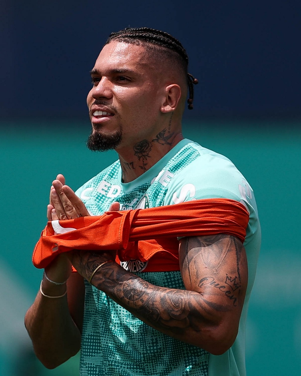 Palmeiras paulinho