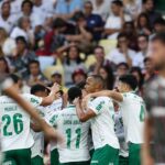 palmeiras arias