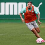 Palmeiras