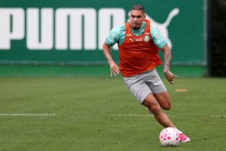 Palmeiras