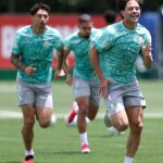 Palmeiras