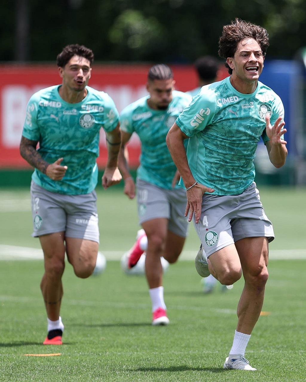 Palmeiras