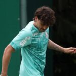 Palmeiras mauricio