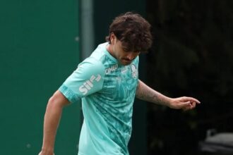 Palmeiras mauricio