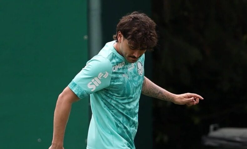 Palmeiras mauricio