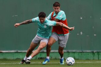 Palmeiras