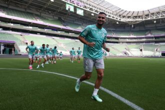 palmeiras andreas pereira