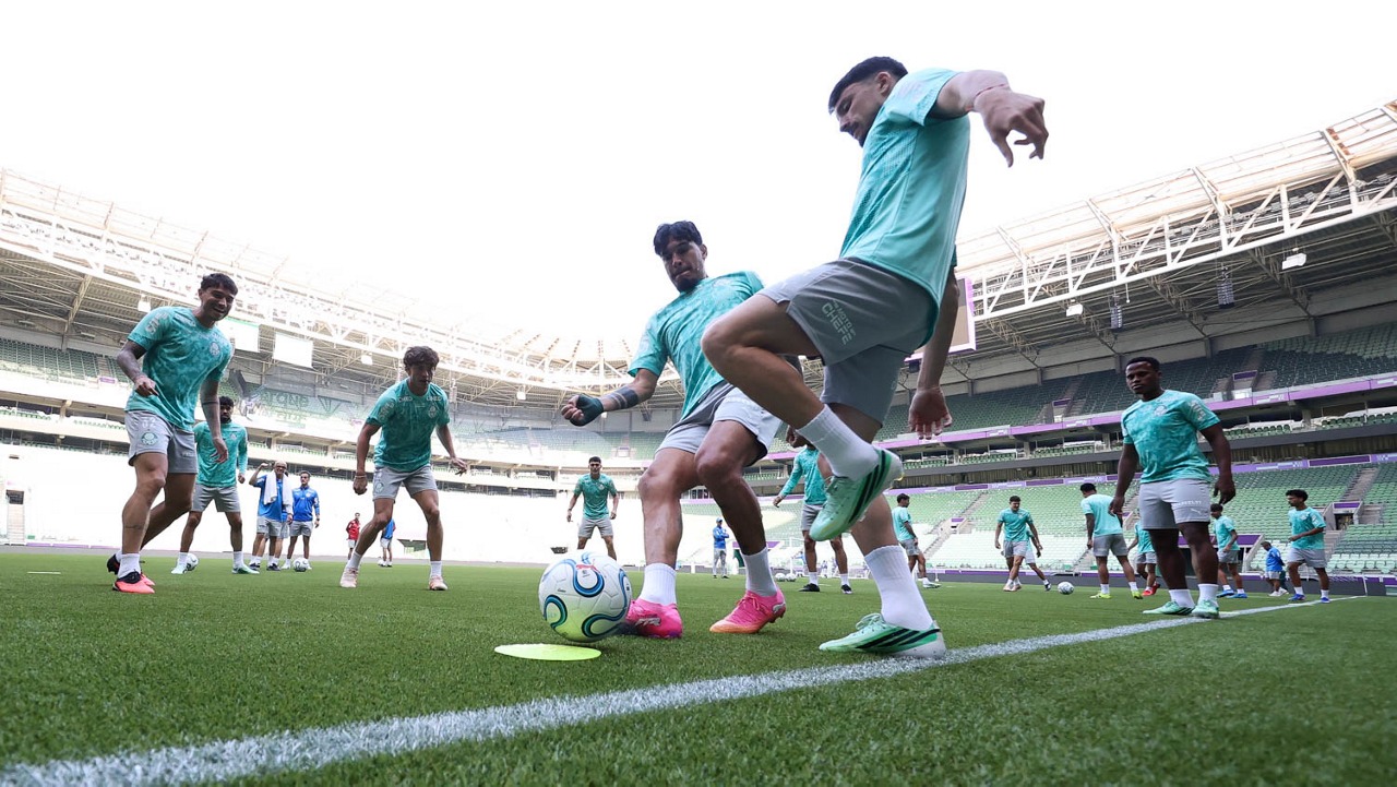 palmeiras
