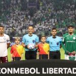 Palmeiras