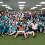 Palmeiras