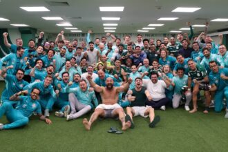 Palmeiras