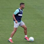 Palmeiras