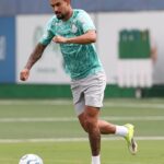 Palmeiras jefté
