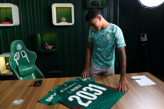 Palmeiras