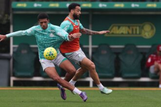 Palmeiras