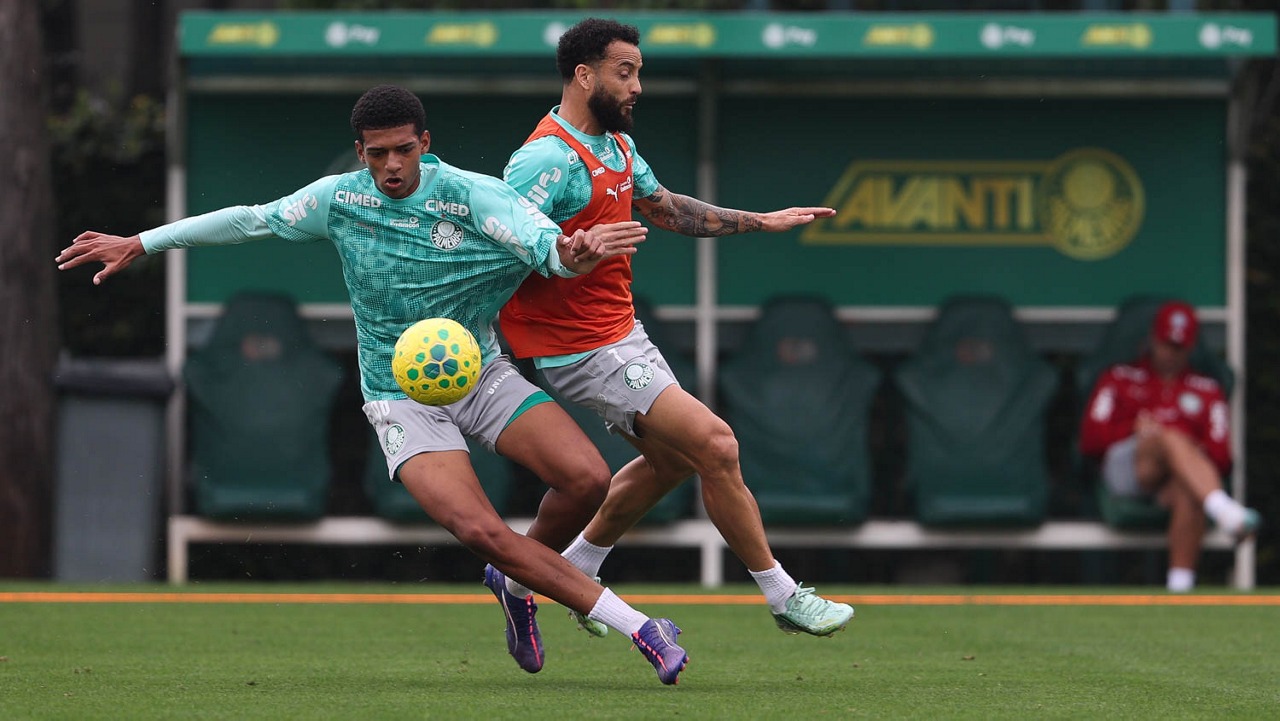 Palmeiras