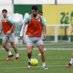 Palmeiras