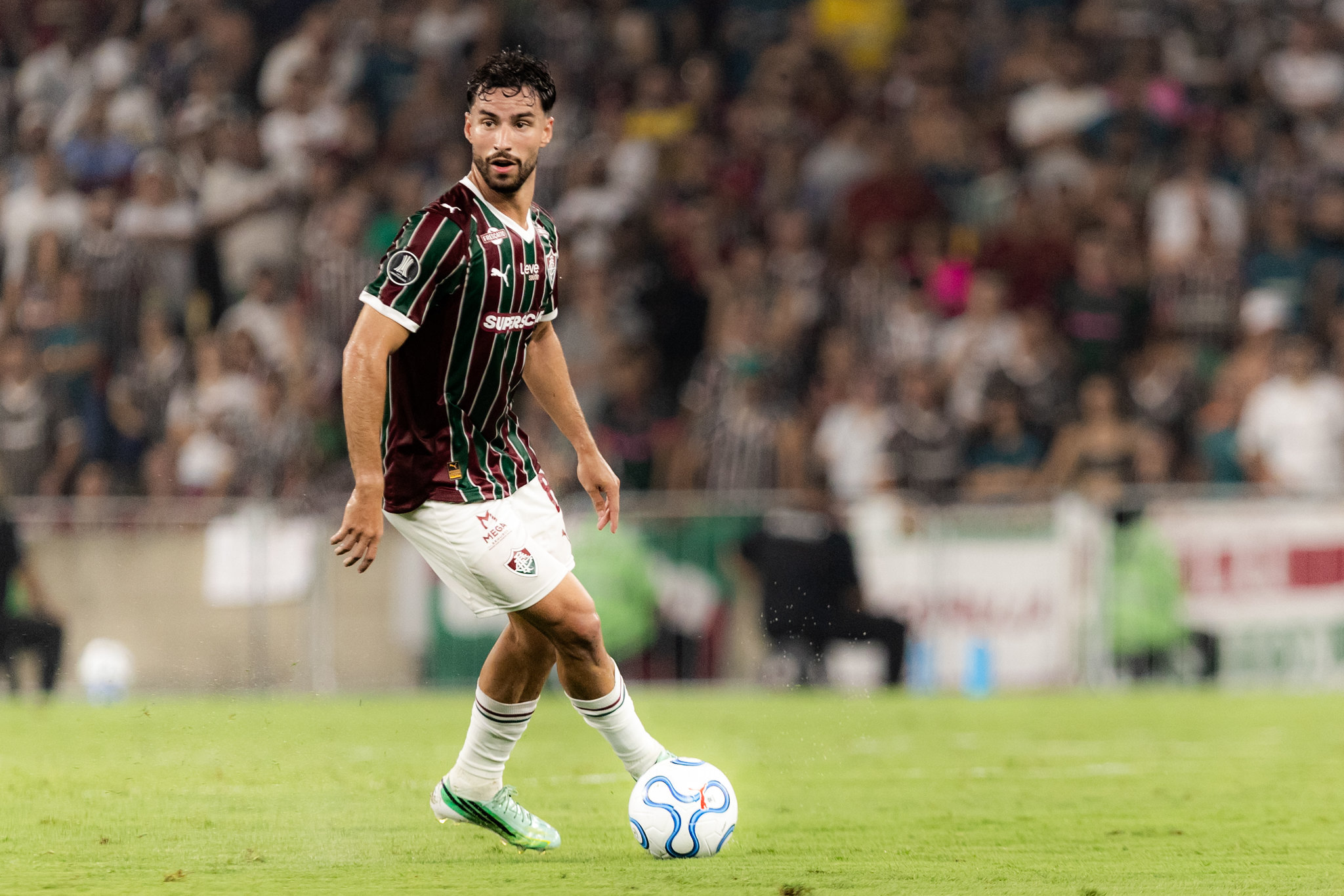 palmeiras x fluminense