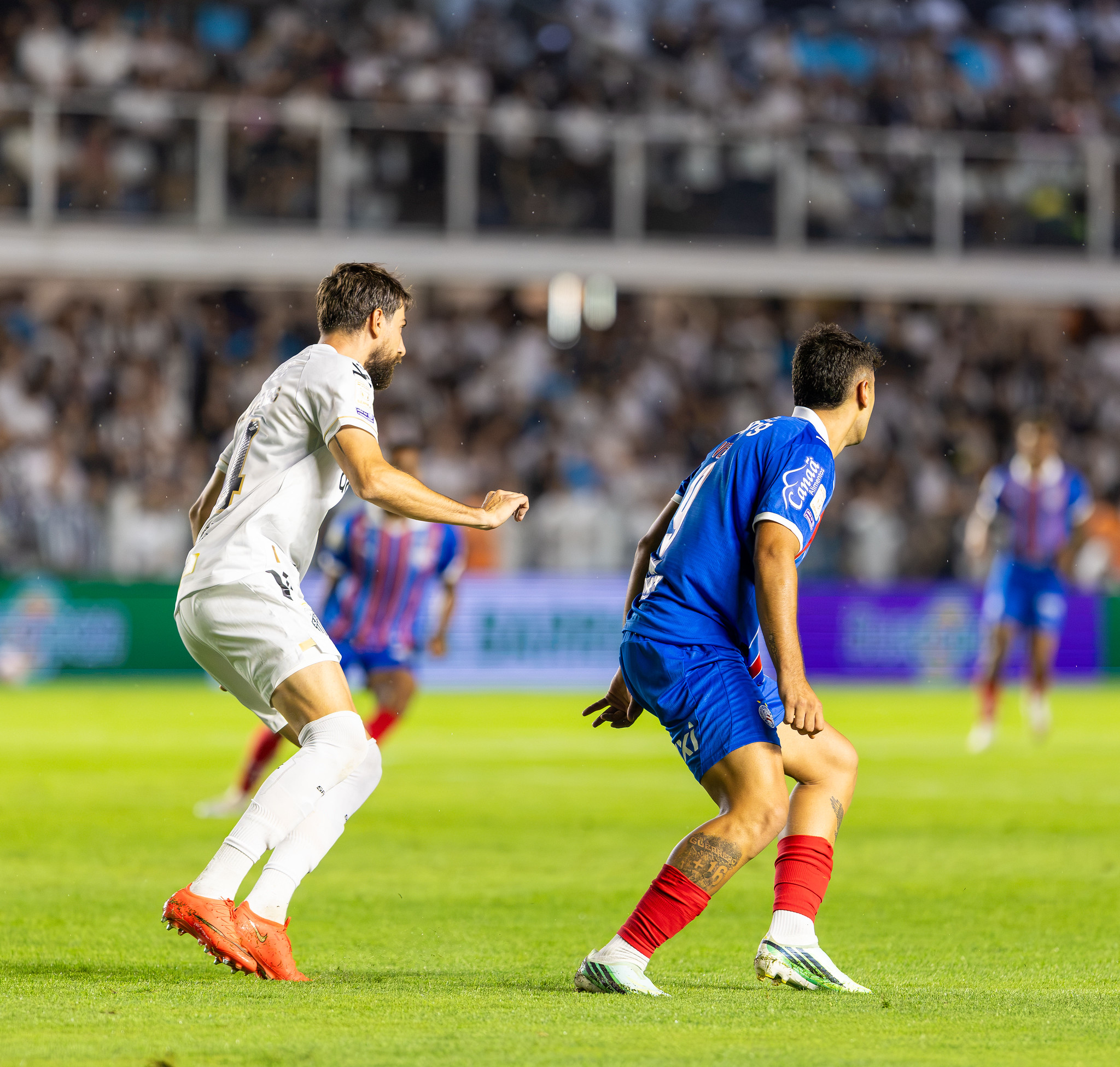 santos bahia