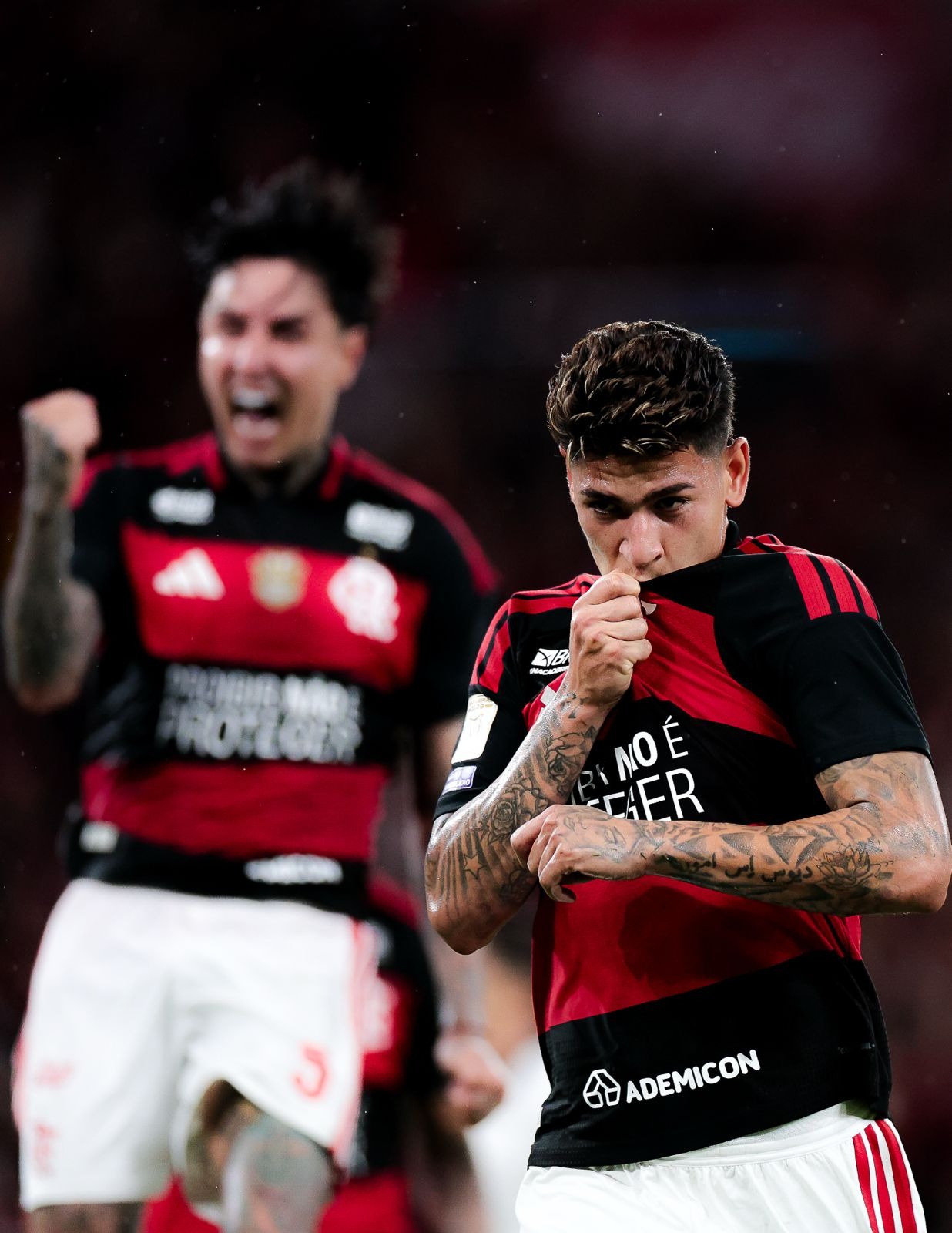Palmeiras flamengo