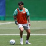 palmeiras gustavo gomez