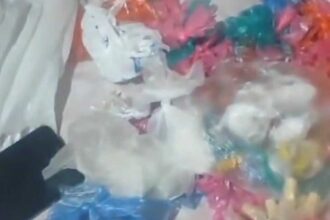 Ação do 6º BAEP resulta na prisão de homem e apreensão de mais de 2 kg de drogas em Santo André