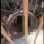 Possível corpo é localizado em área de difícil acesso no bairro Eldorado, em Diadema