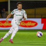 palmeiras veiga