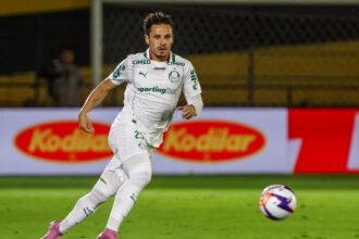 palmeiras veiga