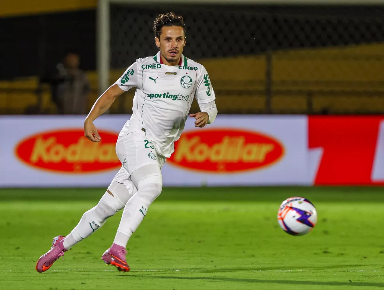 palmeiras veiga