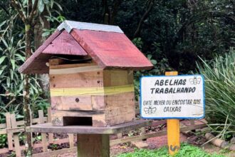 Abelhas da Mata amplia atuação e leva preservação de abelhas nativas para espaços públicos