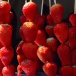 Paço de Santo André recebe Festival do Morango, Churros e Chocolate neste fim de semana prolongado