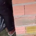 Mistério esclarecido em Diadema: corpo encontrado não era humano, mas sim de um cachorro
