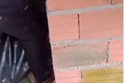 Mistério esclarecido em Diadema: corpo encontrado não era humano, mas sim de um cachorro