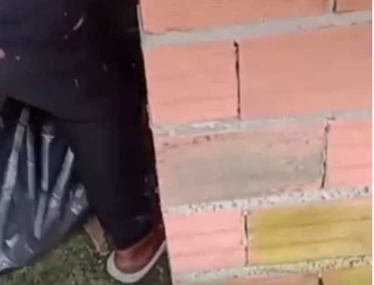 Mistério esclarecido em Diadema: corpo encontrado não era humano, mas sim de um cachorro