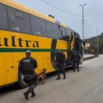 PM Rodoviária utiliza cães farejadores em fiscalização de ônibus e vans na Rodovia Anchieta