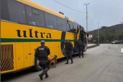 PM Rodoviária utiliza cães farejadores em fiscalização de ônibus e vans na Rodovia Anchieta