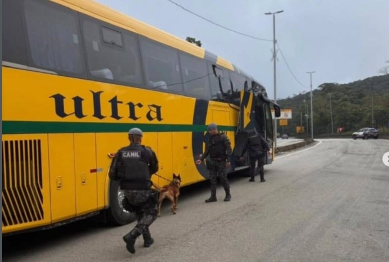 PM Rodoviária utiliza cães farejadores em fiscalização de ônibus e vans na Rodovia Anchieta